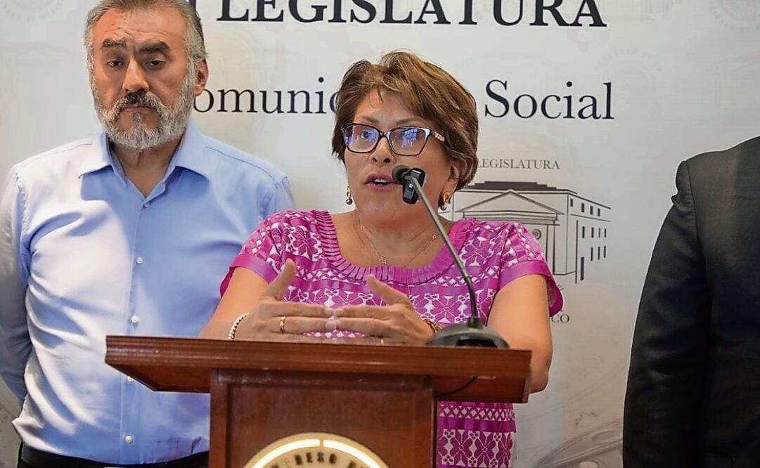 La diputada morenista Martha Ávila consideró incorrecto que el PAN frene la reforma de rentas, pues va a beneficiar a miles de familias. Foto: Especial