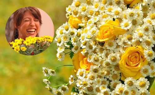 Flores amarillas HOY, 21 de septiembre; ¿por qué se regalan y qué significa esta tradición?