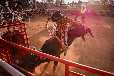 Jaripeos, una tradición purépecha