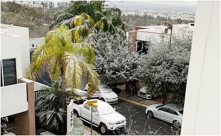 Queda pendiente la carga de uso industrial tras apagones: Cenace y Sener