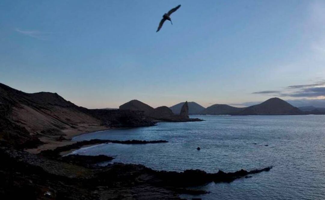 A pesar de no registrar asentamientos humanos en las islas desaparecidas, estas sí poseían vegetación. Foto: Archivo