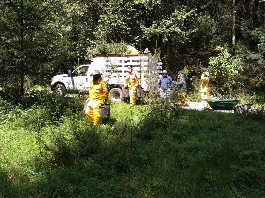 Foto. Twitter: @SEDEMA_CDMX