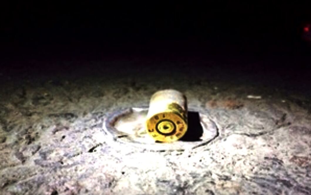 Foto: Archivo/EL UNIVERSAL