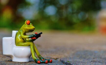 Por qué no debes usar el celular en el baño