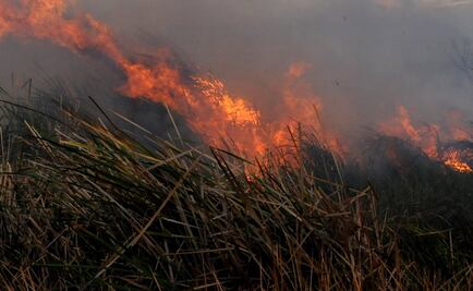 Suman 178 incendios en lo que va del año en CDMX