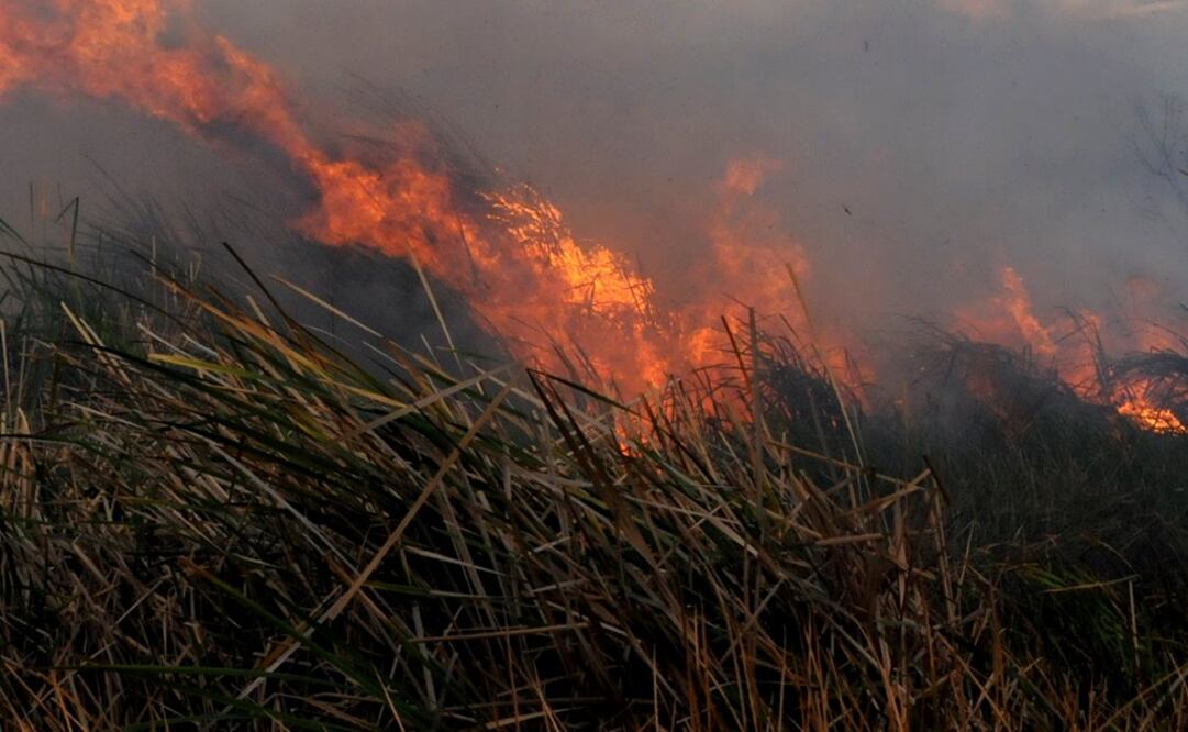 Foto: Archivo. EL UNIVERSAL