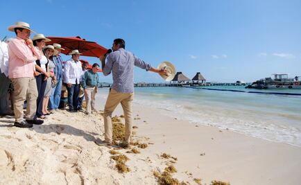 Presentan protocolo para manejo de sargazo en Q.Roo