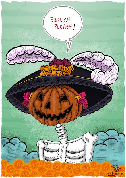 Cartón de FER