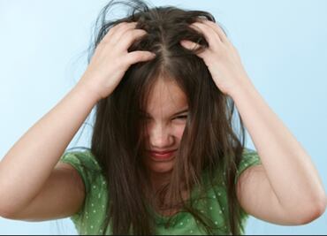 Especialistas presentan guía para atender contagio de piojos