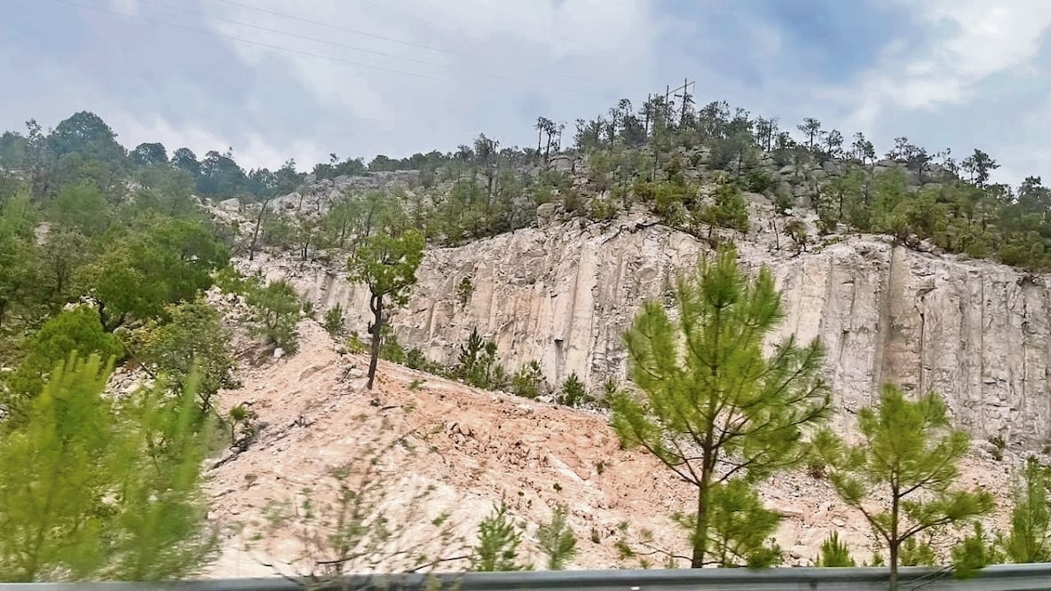 El panorama de la deforestación es crítico en la Sierra Tarahumara, donde grupos armados están talando el bosque de manera ilegal; sin embargo, las autoridades no han tomado medidas al respecto, denunció el sacerdote jesuita Javier El Pato Ávila. Foto: de Paola Gamboa. El Universal