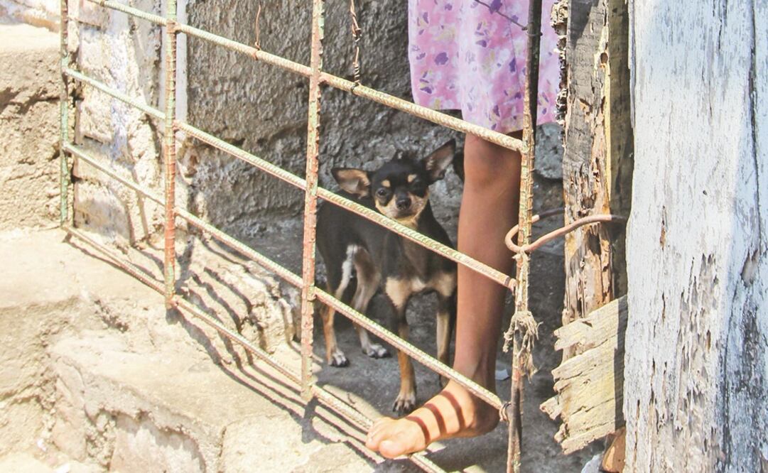 ARCHIVO / EL UNIVERSAL