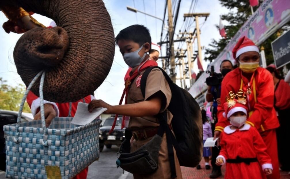 Elefantes vestidos como Santa Claus, reparten cubrebocas a niños en Tailandia