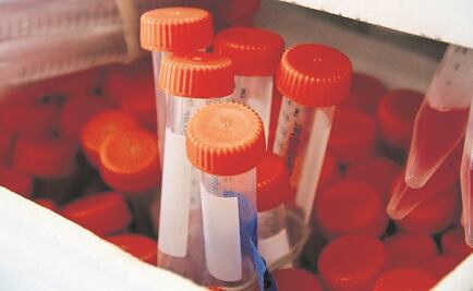 Kioscos aplican mil 129 pruebas Covid en su primer día de operación 