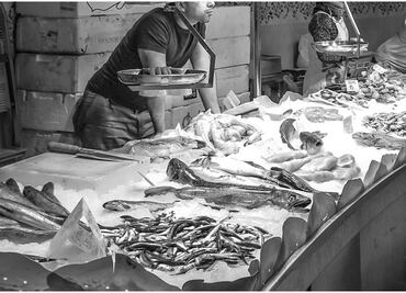 Para esta Cuaresma: Estos son los pescados más baratos y los más caros, según Profeco