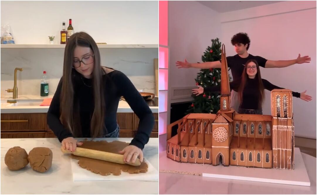 El video cuenta con 8.4 millones de reproducciones y más de 1.4 millones de “likes”. Foto: TikTok