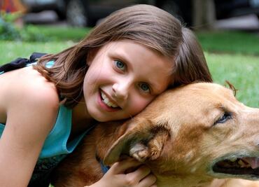 Los perros pueden ayudar a reducir los niveles de estrés