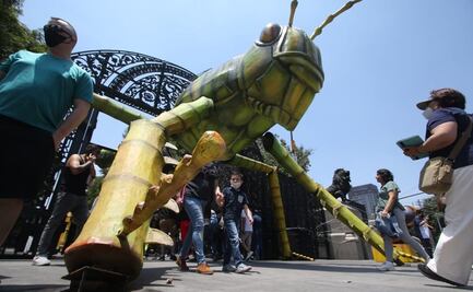 En 3 días, INSECTA recibe a más de 1 millón de visitantes en el Bosque de Chapultepec