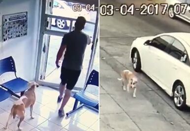 Exhiben a hombre que abandonó a perro en Zapopan