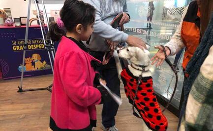 ¡Tienen una nueva misión! Lomitos rescatados en el Metro serán mensajeros de Santa y Los Reyes Magos