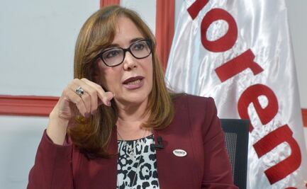 Polevnsky lamenta validación del TEPJF a Ramírez Cuéllar al frente de Morena 