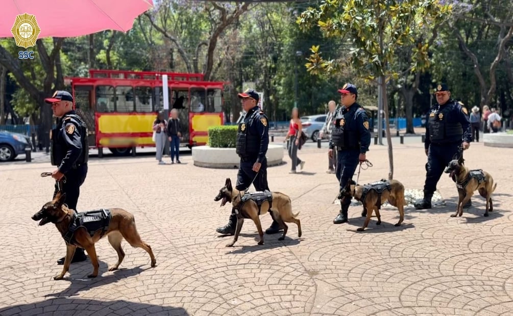Refuerzan seguridad con nuevos binomios K9 en CDMX; perritos detectarán explosivos rumbo al Mundial. Foto: Especial