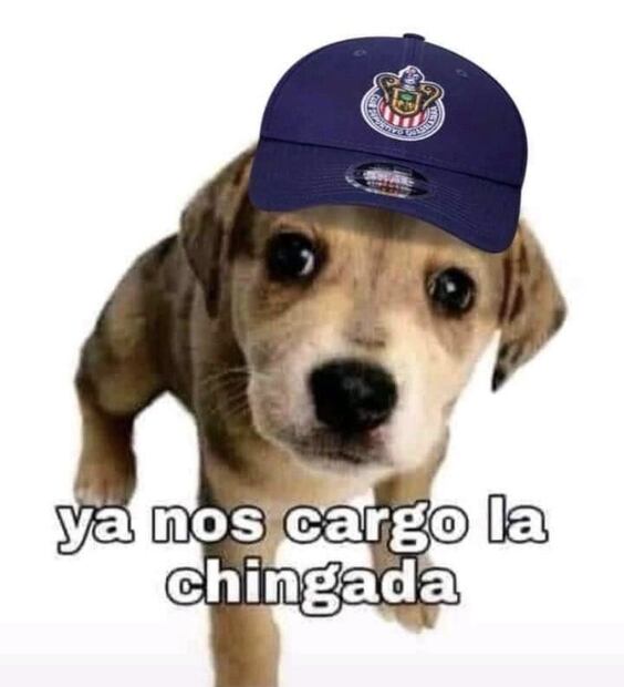 Memes de Chivas tras el Clásico Tapatío