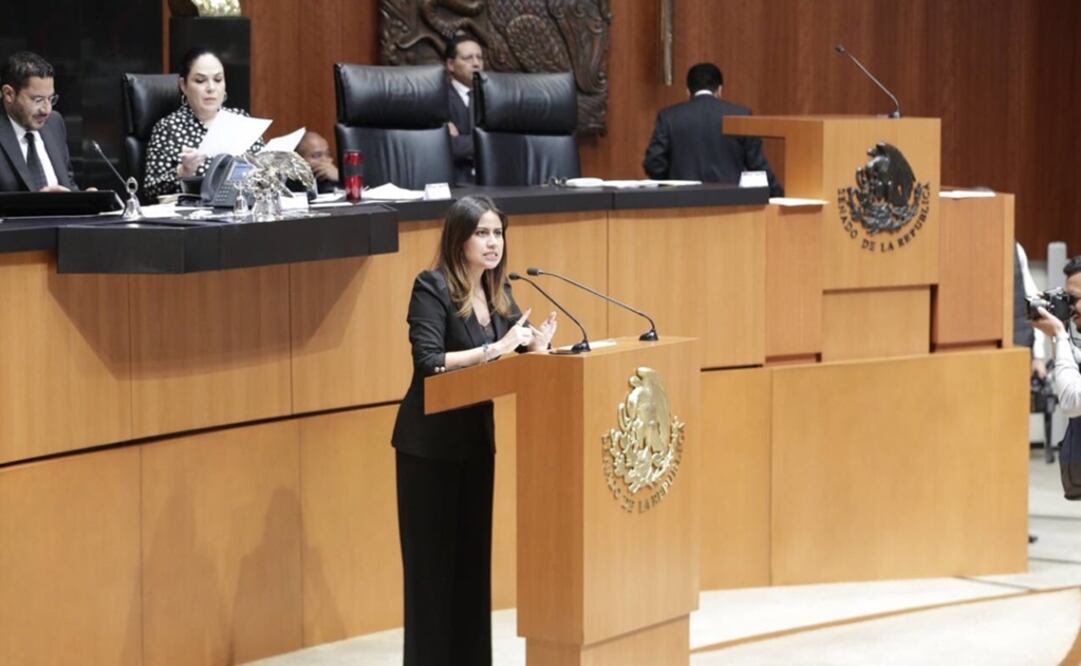 Indira Rosales, senadora del PAN. Foto: Twitter @Indira_rs