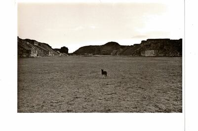 Los legados de Oaxaca