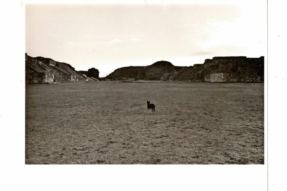 Los legados de Oaxaca