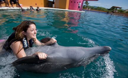 Publican decreto con el que se prohíben delfinarios y delfinoterapia