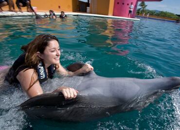 Publican decreto con el que se prohíben delfinarios y delfinoterapia