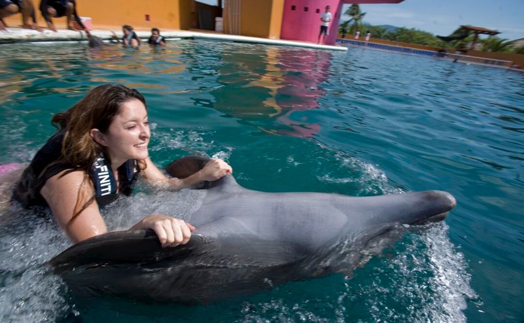 Publican decreto con el que se prohíben delfinarios y delfinoterapia