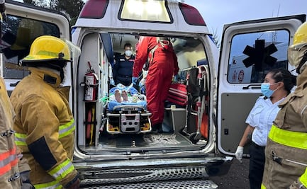 Víbora de cascabel muerde en la mano a un hombre de 35 años en Los Reyes La Paz