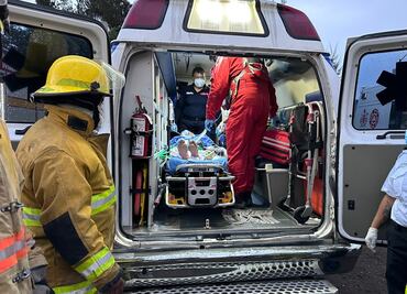 Víbora de cascabel muerde en la mano a un hombre de 35 años en Los Reyes La Paz