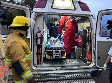 Víbora de cascabel muerde en la mano a un hombre de 35 años en Los Reyes La Paz