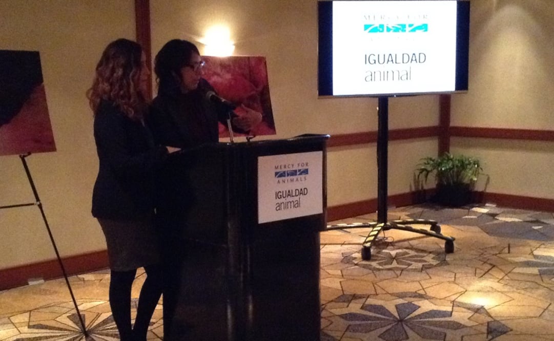 (Foto: Tasneen Hernández/El Universal)