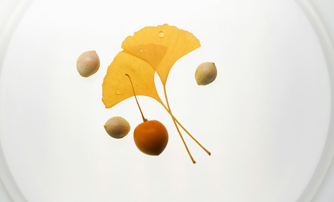 El ginkgo biloba es una planta originaria de China. Foto: Freepik