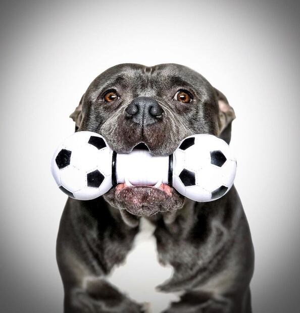 Fuente: Instagram @khambathebully