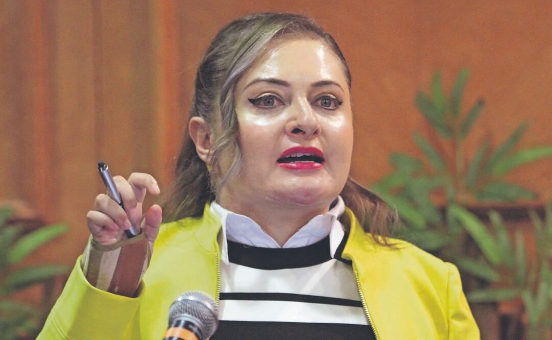 Claudia Anaya dijo que lo que busca el gobierno, con la Ley de Amparo, son cobros más rápidos. Foto Especial