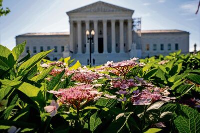 Corte ratifica prohibición de armas para agresores