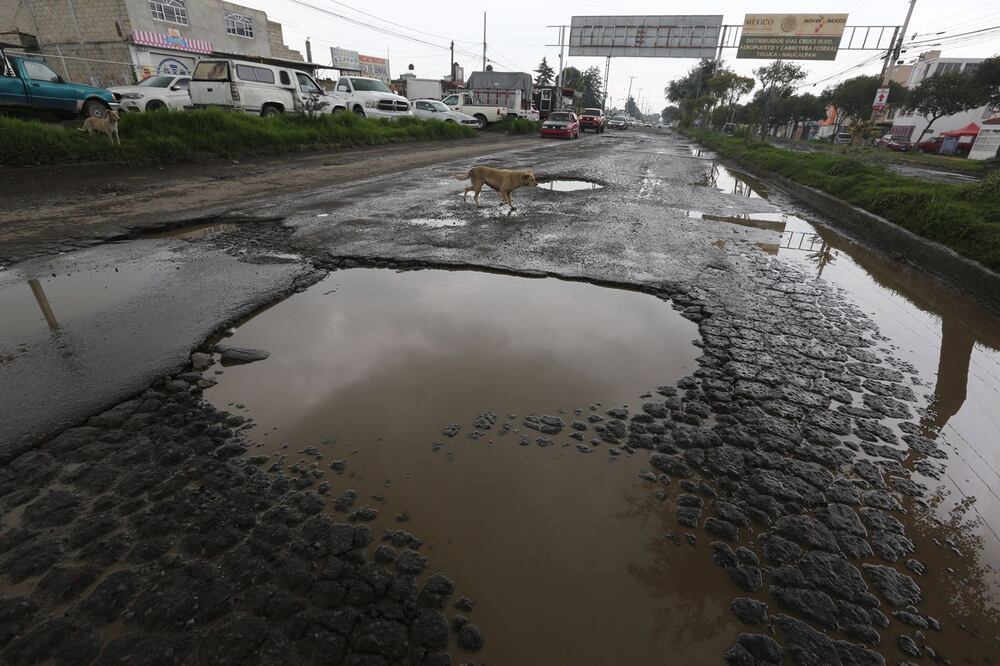 Foto: Jorge Alvarado/ El Universal/  
