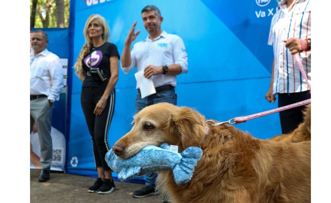 Mauricio Tabe. Foto: Especial