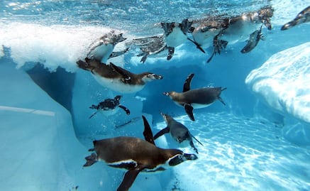 Europa registra su mes de junio más caliente en la historia