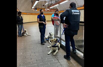 Video. Policías rodean y sacan del Metro a entrenadora con perros de asistencia para niños con discapacidad 