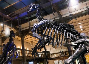 Teoría relaciona a Júpiter con el meteorito que destruyó a los dinosaurios