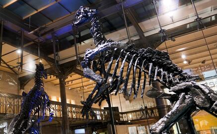 Teoría relaciona a Júpiter con el meteorito que destruyó a los dinosaurios