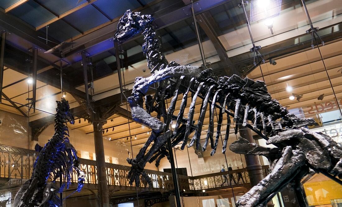 Foto: EFE/EPA/Olivier Hoslet, archivo