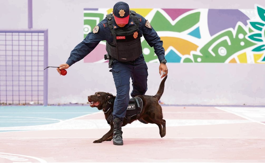 A través de juegos y distintos ejercicios, Zory se prepara para identificar personas por medio del olfato y los sonidos, explica el suboficial Andrés de la Rosa. Foto: DIEGO SIMÓN SÁNCHEZ