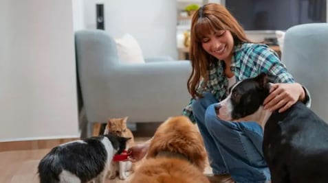 ¿Qué es el síndrome del arca de Noé?; UNAM advierte sobre esta patología