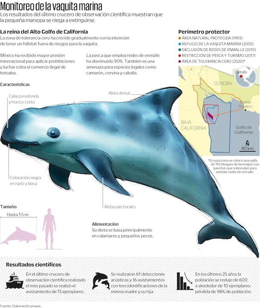 Fuente: Elaboración propia